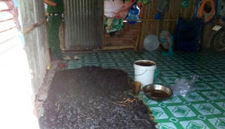 Choáng với công nghệ làm khô bò đen từ... phổi heo