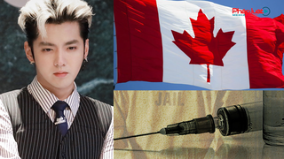 "Thiến hóa học" mà Ngô Diệc Phàm có thể phải đối mặt khi bị trục xuất về Canada là gì?