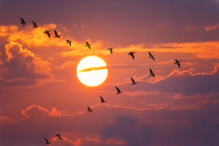 Mây trắng đang bay