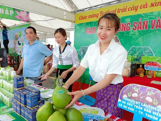 Đặc sắc nông sản vùng miền tại Festival trái cây và sản phẩm OCOP ở Sơn La