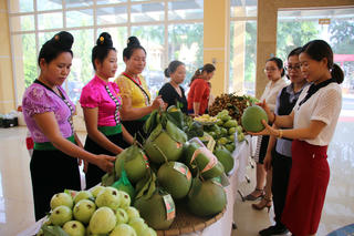Huyện nghèo Sơn La đẩy mạnh học tập và làm theo Bác 