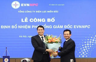Điện lực miền Bắc bổ nhiệm nhân sự mới