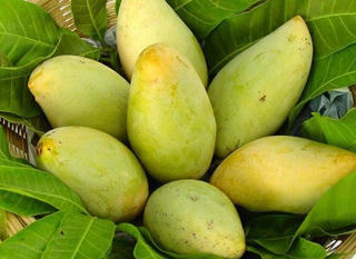 3 Bộ lo bảo hộ nhãn hiệu, chỉ dẫn địa lý cho nông sản xuất khẩu