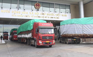 Từ hôm nay, có thể xuất khẩu thanh long qua cửa khẩu Kim Thành (Lào Cai)