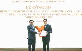 Vụ trưởng Ủy ban Quản lý vốn nhận quyết định làm Bí thư Đảng ủy, Chủ tịch Mobifone