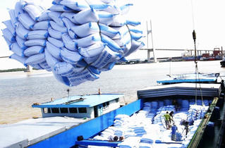 Ấn Độ cấm xuất, Trung Quốc cần 6 triệu tấn gạo và cơ hội của Việt Nam 