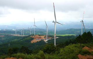 Điện gió đạt 85% công suất lắp đặt nhờ… gió mùa Đông Bắc