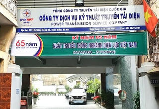Sẽ ‘thay tên, đổi họ’ một doanh nghiệp ngành Điện?