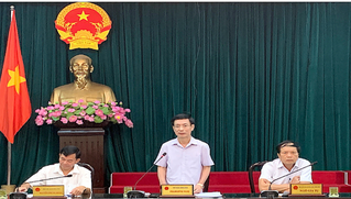 Chủ tịch Nam Định yêu cầu xử lý các vụ việc vi phạm liên quan đến đất đai