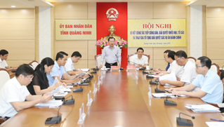 Tổng số đơn thư ở Quảng Ninh giảm gần 20%