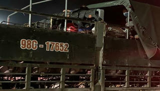 Trốn trong thùng xe tải chở lợn để qua mặt chốt kiểm soát dịch COVID-19 vẫn không thoát