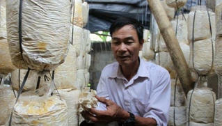 Trung bình mỗi năm, Hưng Yên có trên 70 nghìn hộ nông dân sản xuất, kinh doanh giỏi các cấp 