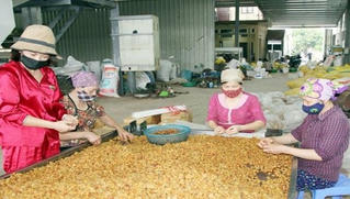 Các cơ sở sản xuất tiểu thủ công nghiệp cần đầu tư thiết bị và chủ động tìm kiếm thị trường mới