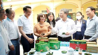 Người lao động cần rèn luyện nâng cao kiến thức 