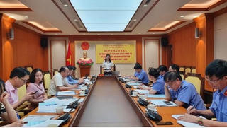 6 tháng, Viện KSND hai cấp tỉnh Quảng Ninh đã thụ lý mới 713 vụ vi phạm pháp luật với 1.394 bị can