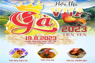 Tiên Yên mở hội thi “Hoa hậu gà” 