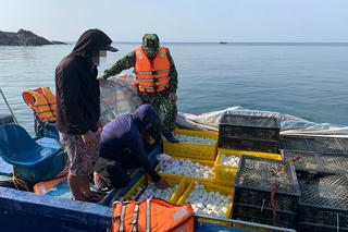 Phát hiện vụ vận chuyển gần 20 nghìn con gà giống, trứng vịt lộn đang vận chuyển trên biển