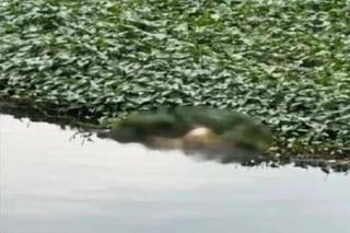 Tìm thấy thi thể 2 bé gái và người bố sau 1 tuần mất tích