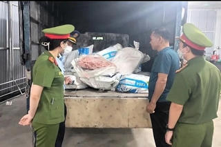 Quảng Ninh: Tiêu hủy 2 tấn chân vịt không rõ nguồn gốc