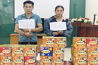 Hai vợ chồng bị bắt vì vận chuyển 62kg pháo hoa nổ