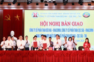 Hợp nhất Công ty CP Than Đèo Nai - Cọc Sáu - TKV