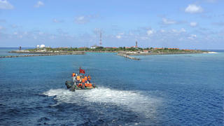 Những “khu rừng xanh” kỳ vỹ giữa đại dương