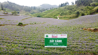 Hai sản phẩm nổi bật của Nam Dược tiếp tục đạt Thương hiệu quốc gia Việt Nam năm 2024