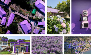 Đảo tím - Thiên đường cho những người yêu thích màu tím mộng mơ 