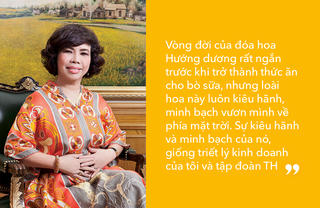 Tầm nhìn của hướng dương
