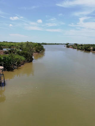 Sạt lở bờ kênh Xáng: Chính quyền đồng ý bồi thường, Toà nói vẫn chưa có thiệt hại