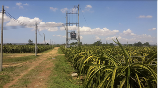 Bình Thuận: Khởi tố vụ án “đánh chiếm” trang trại thanh long Hồng Ân