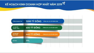 CEO Group chi trả 10% cổ tức năm 2018 bằng tiền