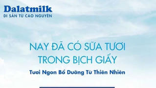 Dalatmilk ra mắt sữa tươi tiệt trùng trong bịch giấy hoàn toàn tự nhiên