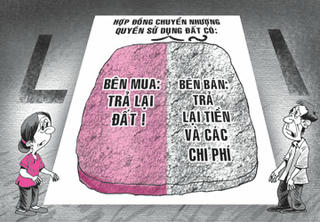 Quảng Ninh:  Thi hành án dân sự gặp khó vì một bản án có dấu hiệu vi phạm tố tụng 