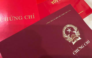 Chưa ngã ngũ việc gỡ vướng về chứng chỉ tin học, ngoại ngữ trong tuyển dụng