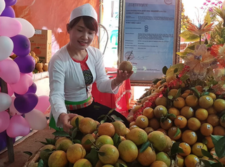 Cao Phong, Hòa Bình và sự chuyển mình mạnh mẽ