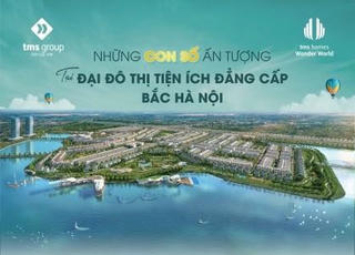 Những con số ấn tượng tại TMS Homes Wonder World