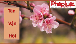 Thư mời cộng tác Báo Pháp luật Việt Nam Xuân Quý Mão 2023