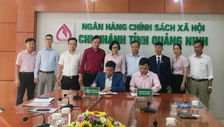 Hỗ trợ lao động bị ngừng việc tại Quảng Ninh do ảnh hưởng dịch Covid-19