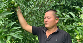 Người nông dân giỏi làm kinh tế ở huyện Thạch An, Cao Bằng