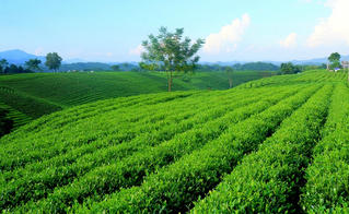 Tiềm năng, thế mạnh và hướng phát triển trong tương lai của ngành du lịch Thái Nguyên