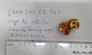 Nhập viện vì ăn bỏng ngô nghi tẩm cần sa mua trên mạng