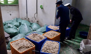 Phát hiện gần 10 tấn thực phẩm đông lạnh không rõ nguồn gốc