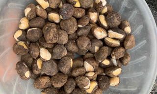 18 người có biểu hiện ngộ độc sau khi ăn hạt lạ