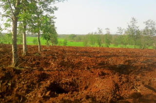 Sở TN&MT Đắk Lắk: Trả lời đề nghị cấp lại GCNQSDĐ của một số hộ dân