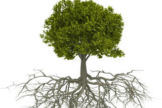 Gọi vốn cộng đồng - những vấn đề pháp lý trên thế giới và nhận diện 'biến thể' tại Việt Nam