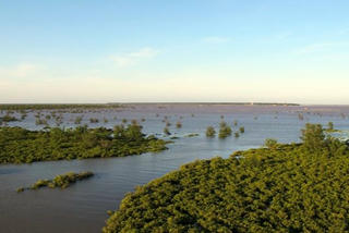 Thái Bình chuyển đổi hơn 11.050ha Khu bảo tồn thiên nhiên: Cục Bảo tồn thiên nhiên và Đa dạng sinh học có văn bản báo cáo