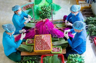 Nghề làm nem Lai Vung là Di sản văn hóa phi vật thể Quốc gia