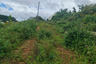 TP Đà Lạt (Lâm Đồng): Nghi vấn làm giả văn bản chấp nhận cho tự mở đường 