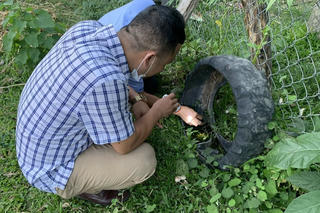 Đắk Lắk liên tiếp ghi nhận 2 trẻ mắc viêm não Nhật Bản